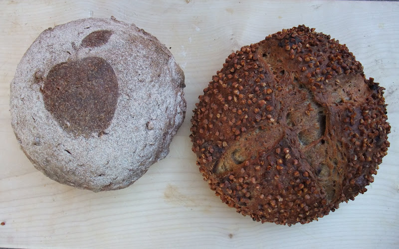 Buckwheat Apple Sourdough The Fresh Loaf